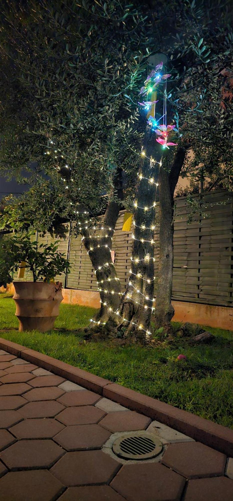 Vila Tena Rovinj Croatia Exterior foto